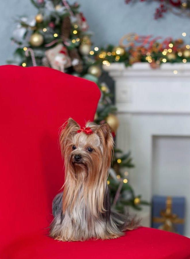 1762780849-WhatsApp Image 2025-11-10 at 16.20.24.jpeg